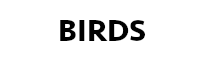 birds_logo